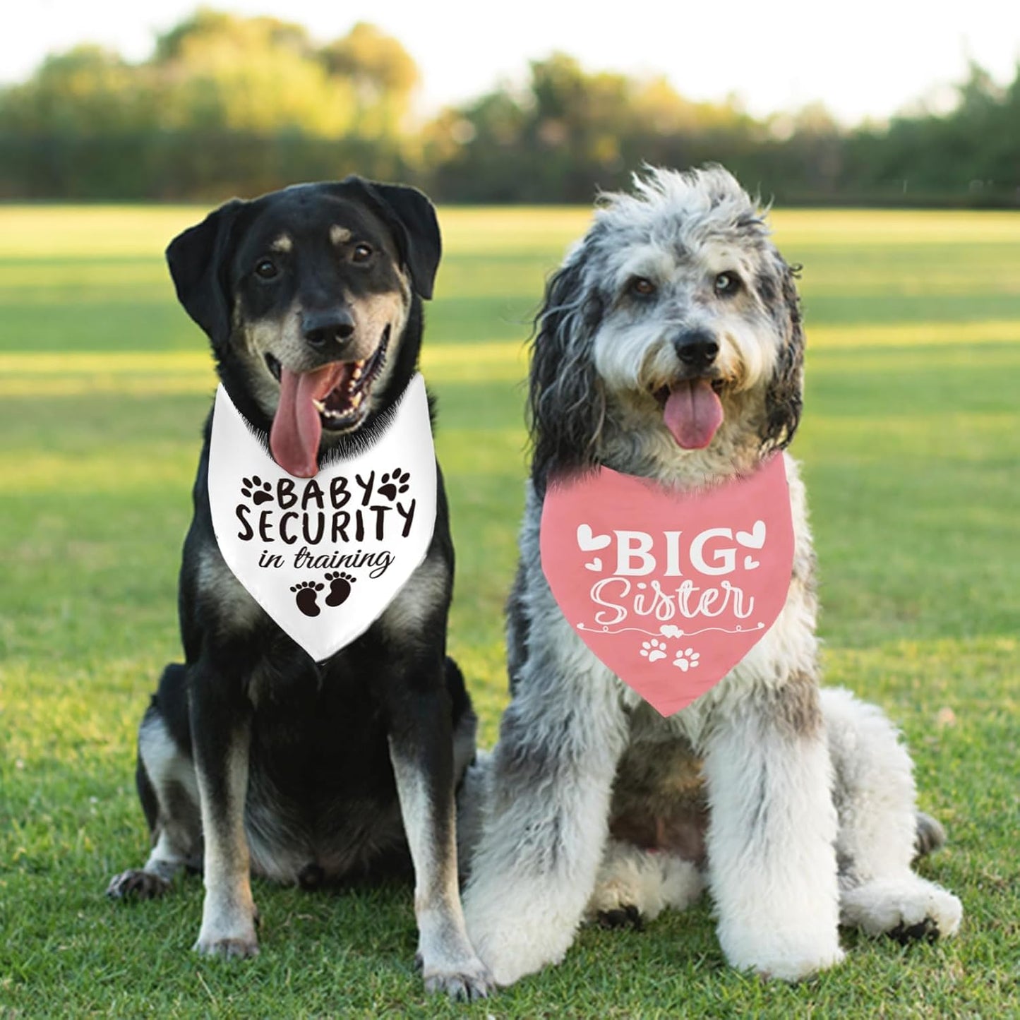 Dog Bandana Pregnancy Announcement Big Sister Doggy Bandana Baby Security in Training Printed Dog Bandanas Baby Announcement Puppy Scarf Pregnancy Pet Bandana for Dogs Pet Scarfs Accessories